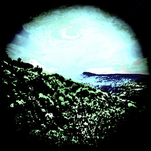 all the beauty and the terror