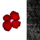 onyx thumbnail