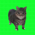 ~ meowwiii ~ thumbnail
