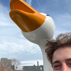 bweinstein thumbnail