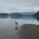 lakeagassiz thumbnail