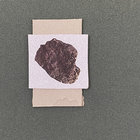georg_8 thumbnail