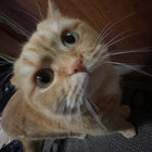 kouti_galaktos thumbnail
