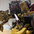 tradigarde237 thumbnail