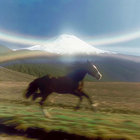 virtualaxis thumbnail