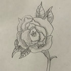 rose-morose thumbnail