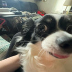 Evvvelyn thumbnail