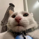 igonners thumbnail