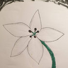 atalanta24 thumbnail