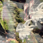 l_nr thumbnail