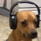 MID thumbnail