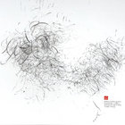 THE NECKS NEXT CD アンビエント フューチャージャズ Next | The Necks