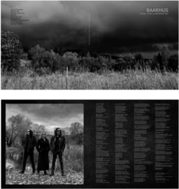 Strictly limited edition 12" Vinyl, 100 copies, image 2