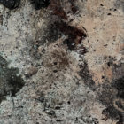 chiarachefai thumbnail