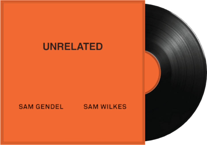 激レア!新品!sam wilkes『WILKES』レコード サムゲンデル UNRELATED | Sam Gendel & Sam Wilkes