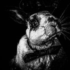 BeautifulAnimal thumbnail