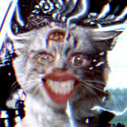 tucktruck thumbnail