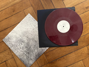 Vinyle marbré 180 grammes Le Cycle du Temps Élastique, image 2