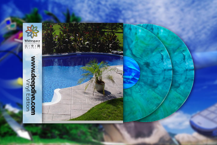 w w w . d e e p d i v e . c o m | Webinar™ | Whitespace