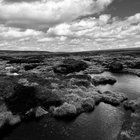 HeathAndMud thumbnail