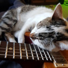 jimsyhill thumbnail