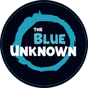 The Blue Unknown — Photo · logo