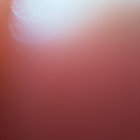 WhoeK thumbnail