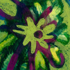 charlotterica thumbnail
