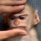 jcjcjcjcjcjc thumbnail