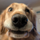 chchcheeeey thumbnail