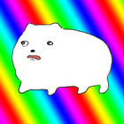 Catsko thumbnail