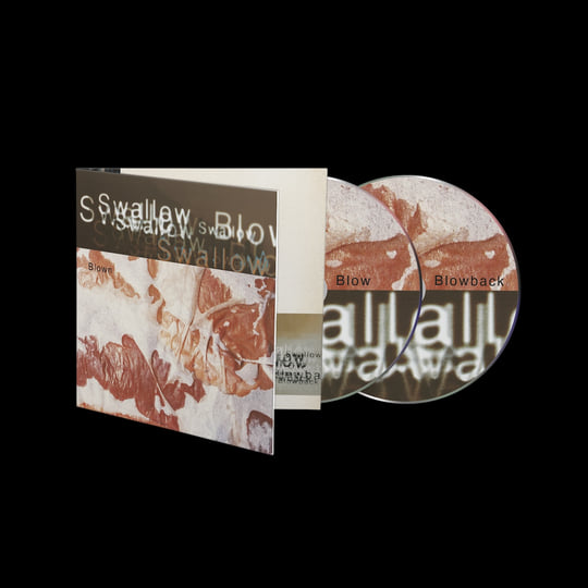 Blown | Swallow
