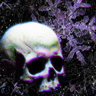 Joey $now thumbnail