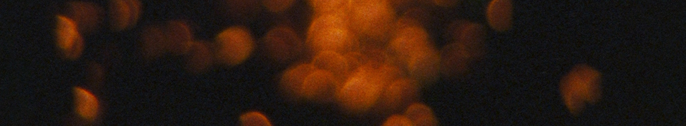 Moses Yoofee Trio — Photo