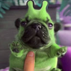 iaMaGibble thumbnail