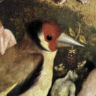 breebirb thumbnail