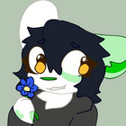 melliepaws thumbnail