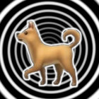 apricot dog thumbnail