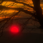 hrly_m thumbnail