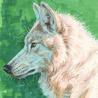 gaia93 thumbnail