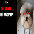 le_bix thumbnail