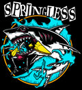 Springless image