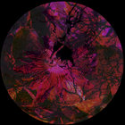 untitledrhythms thumbnail