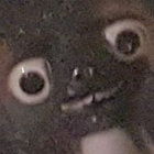 jims6275 thumbnail