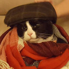 Chester Cheeseburger thumbnail