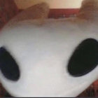 Theamazingspiral thumbnail