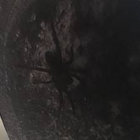 correxion_pleaze thumbnail