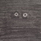 cralowic thumbnail