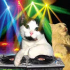 lazer69 thumbnail