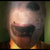 Unknown295 thumbnail